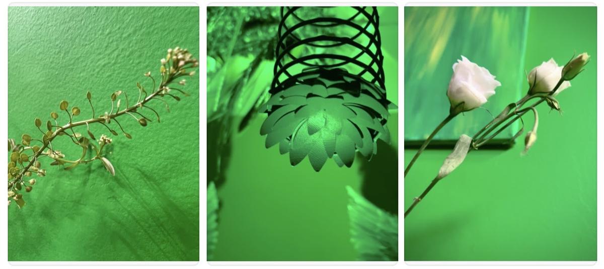 El chakra verde. The Chakras Garden.