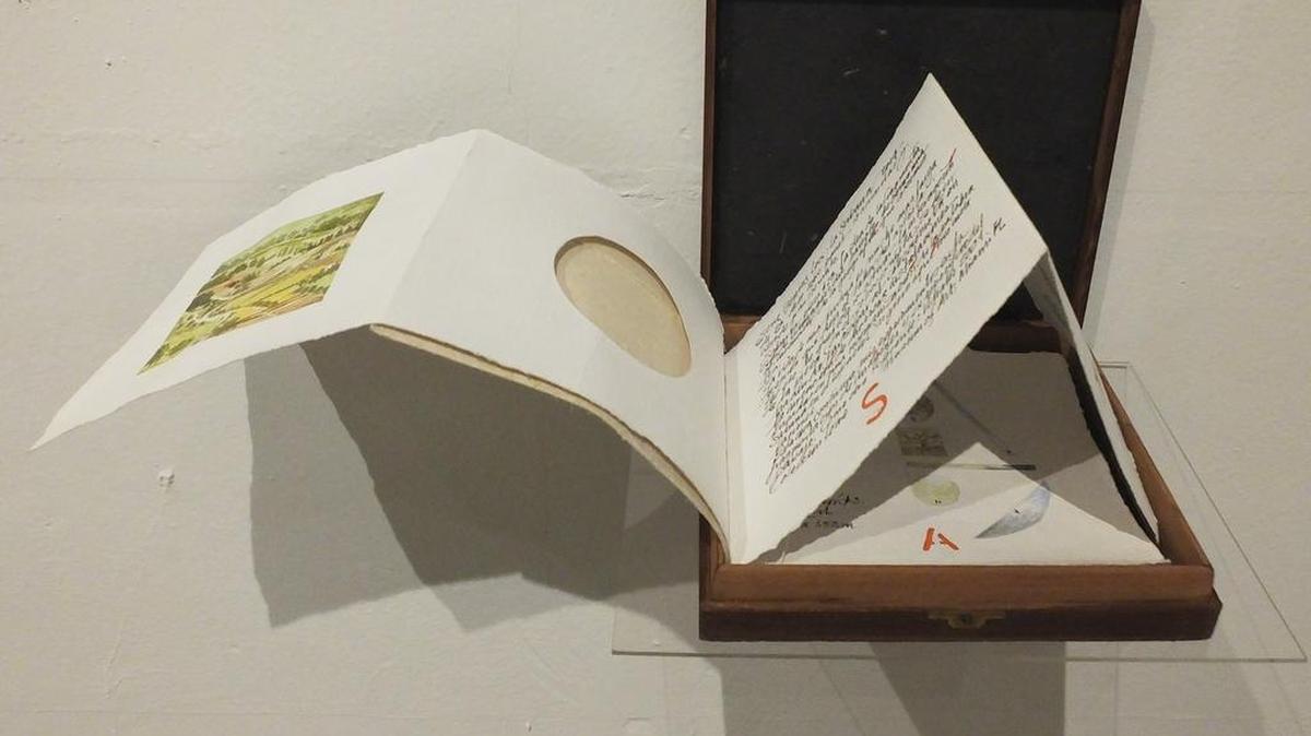 ‘Sabana’ (políptico de siete piezas, 2014), de Lydia Rubio. Detalle, caja de madera con libro y acuarelas, 7 x 9 x 1.5 pulgadas.