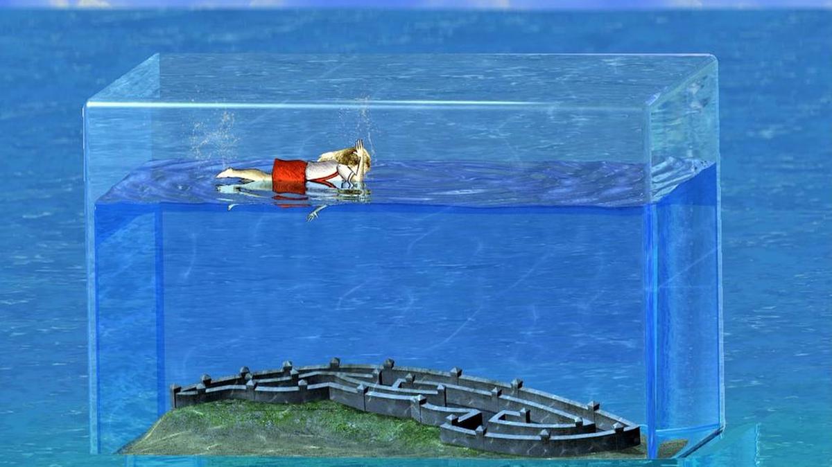 ‘Acuarium 5’, 2013. Obra de Sandra Ramos.