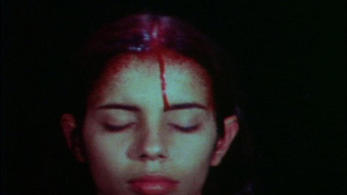 Ana Mendieta en el NSU Art Museum Fort Lauderdale.