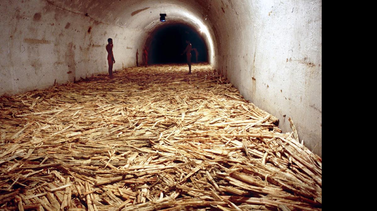
El Museo de Arte Moderno (MOMA) anunció que ha comprado para su colección permanente la obra Sin título (La Habana 2000), una 'video-performance-instalación' creada para la Bienal de La Habana de 2000. 
