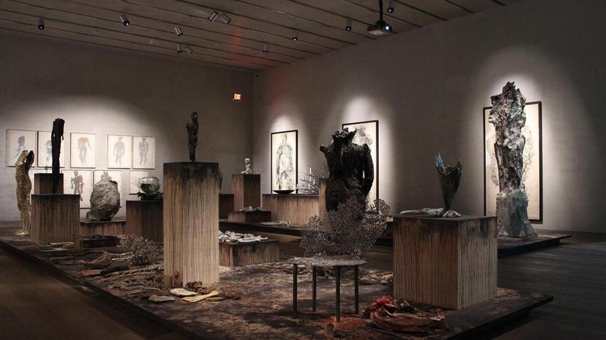 Instalación. Michele Oka Doner.