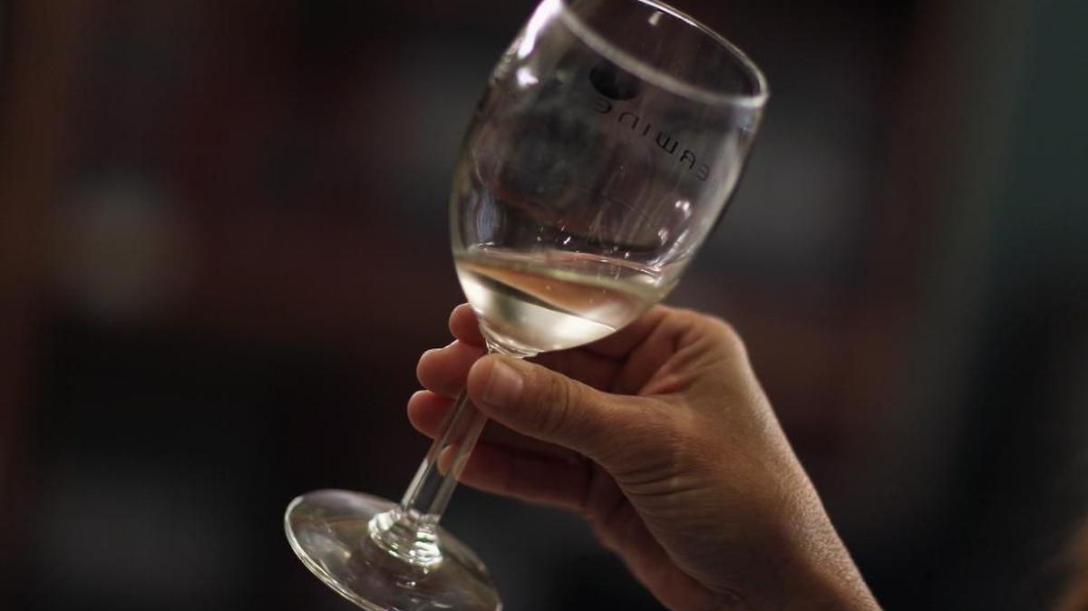 El Moscato d’Asti es un vino que sirve para toda ocasión ya que tiene un bajo contenido alcohólico (apenas un 5 %).