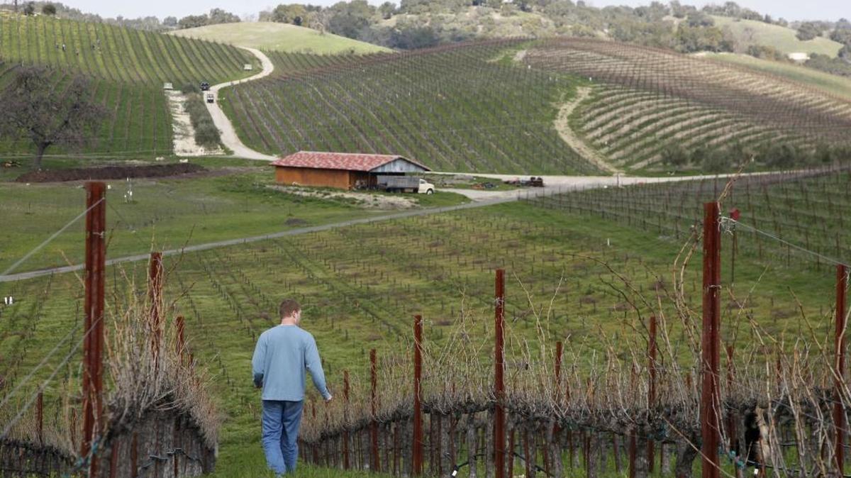 Entre Los Ángeles y San Francisco se esconde un paraíso en crecimiento, llamado Paso Robles.