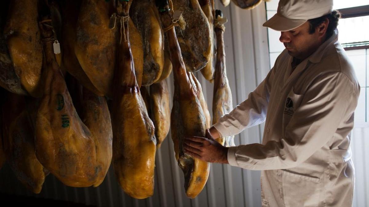 El jamón ibérico se cura como mínimo por dos años y proviene de cerdos de raza ibérica pura, o cruzados siguiendo ciertas normas.