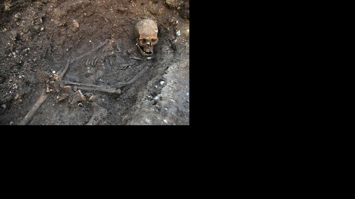 
Imagen de los restos del rey de Inglaterra Ricardo III, cuyos huesos fueron localizados en el 2012 en Leicester. La ubicación de la tumba del monarca estuvo en el misterio durante 500 años.


