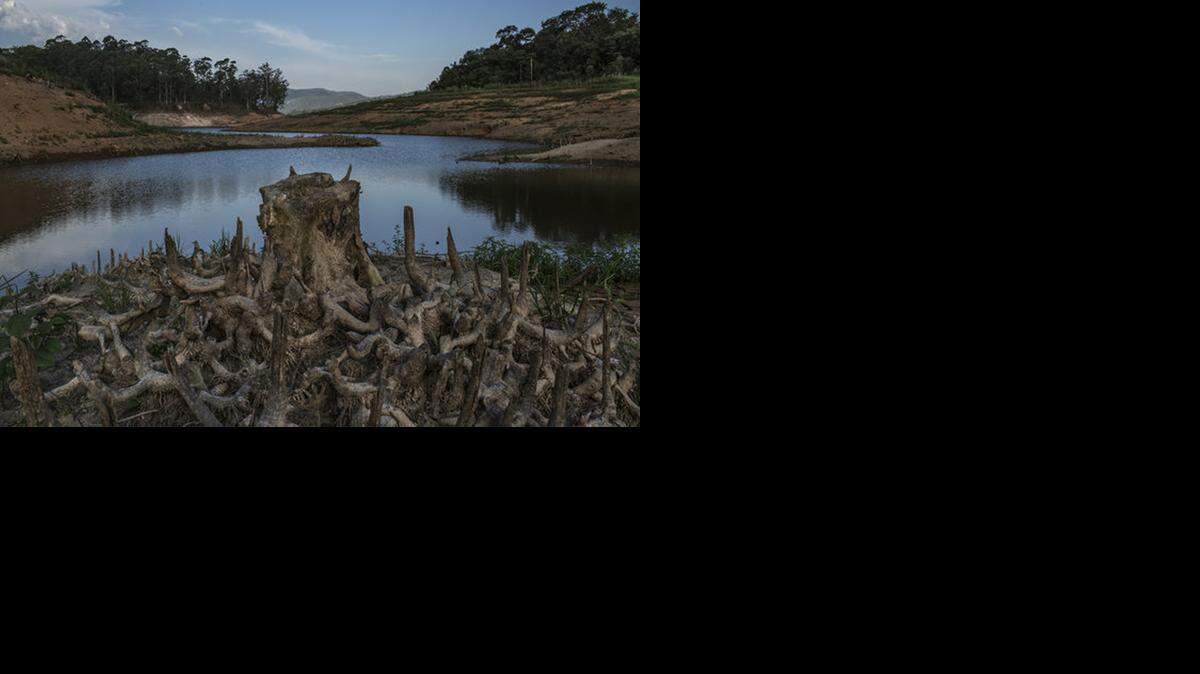 
Banco del embalse de Atibainha, a unos 90 kilómetros al norte de Sao Paulo. 
