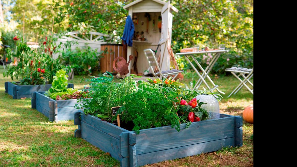 
Para evitar las plagas y enfermedades de las plantas lo recomendable es protegerlas. 
