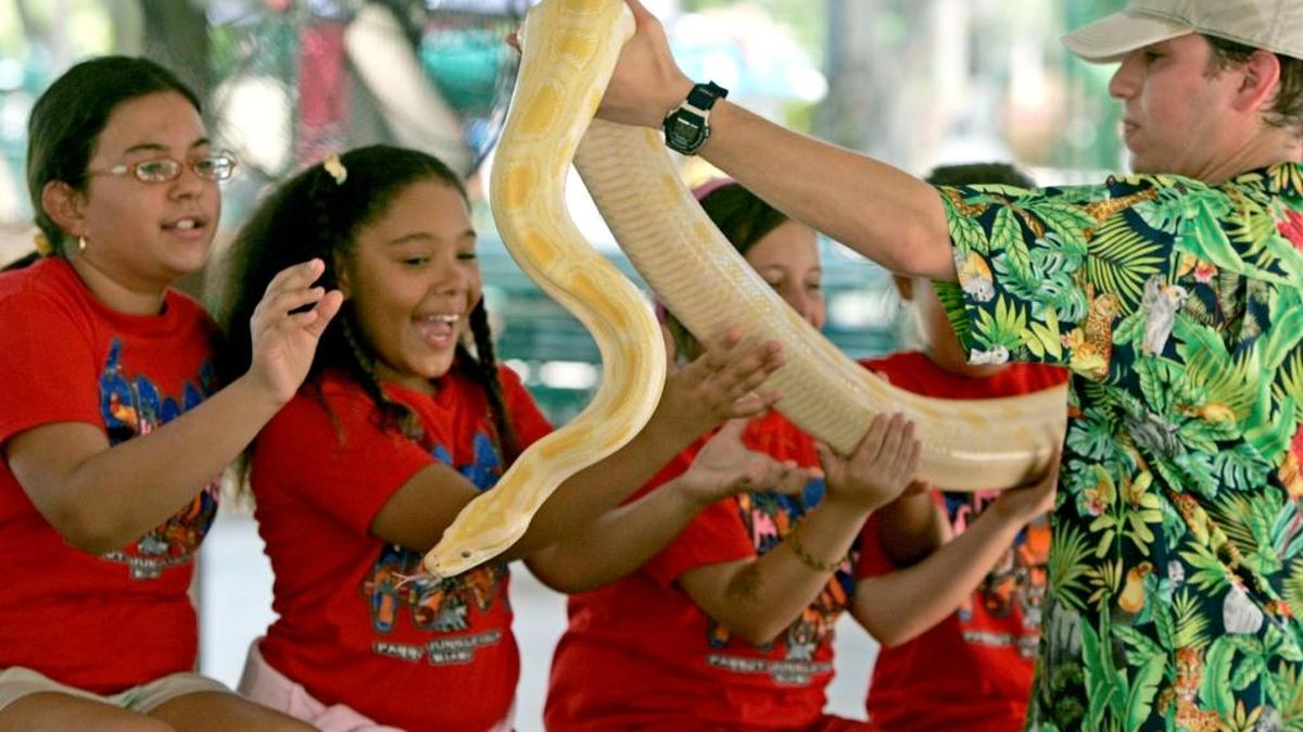 Para impulsar el espíritu aventurero de los niños, Jungle Adventure Camps les enseña animales exóticos. Shawn Roller, especialista en el tema, les muestra una pitón birmana albina.