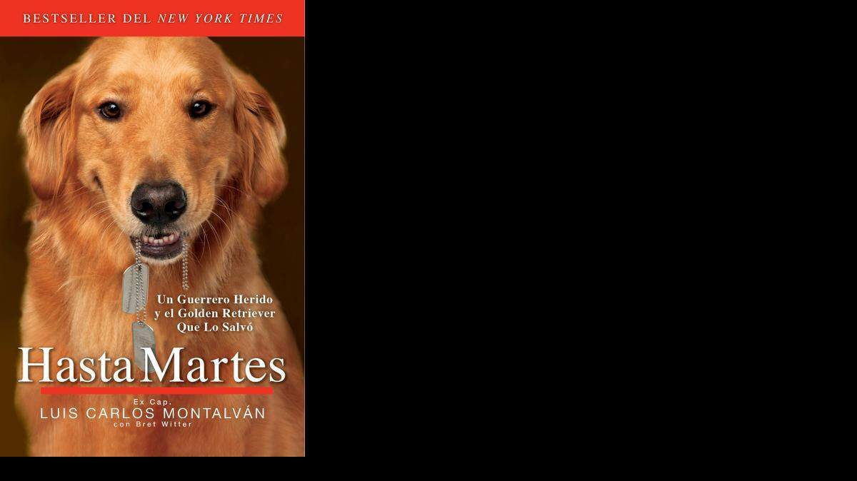
Cubierta del libro ‘Hasta Martes, Un guerrero herido y el Golden Retriever que lo salvó’, una historia de amor entre un hombre y un perro.
