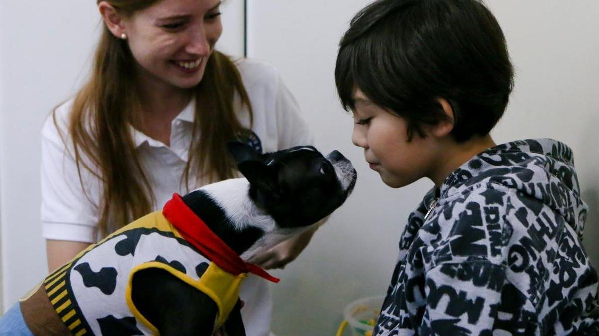 Un grupo de investigadores desarrolló un modelo de evaluación del autismo que permite identificar en mayor medida a los menores latinos bajo riesgo de sufrir algún tipo de desorden del espectro autista.