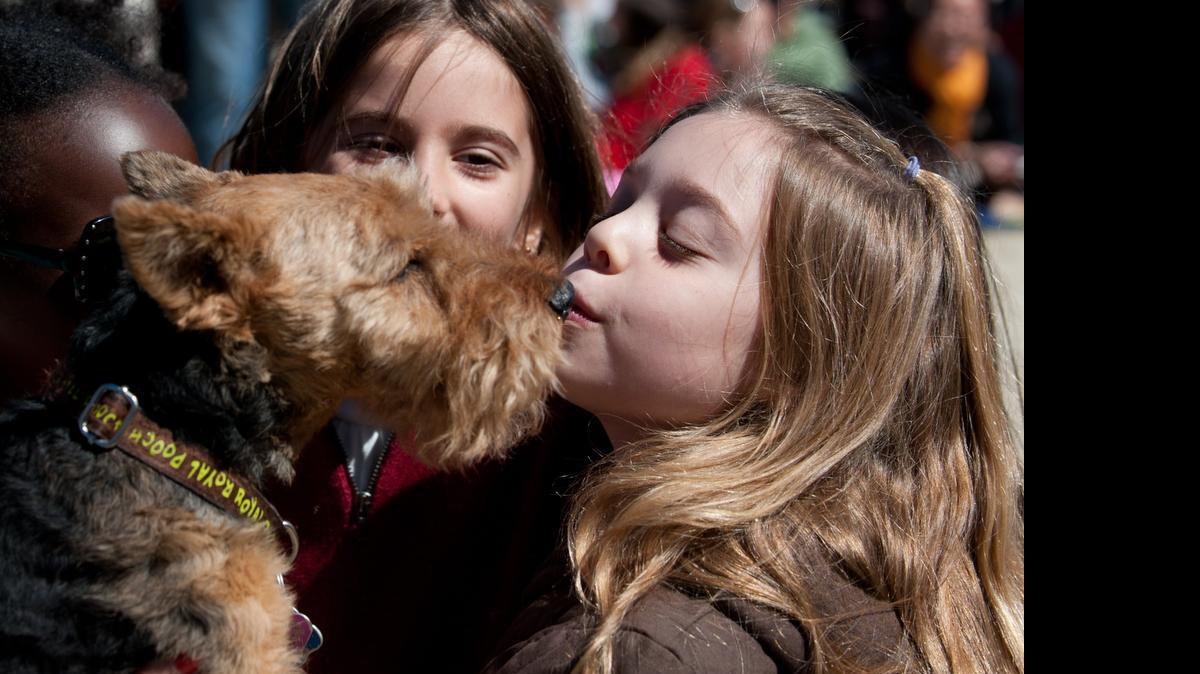 
Antes de buscar una mascota para su hijo, espere a que esté lo suficientemente maduro para cuidarla, lo que sucede, por lo general, cuando tiene alrededor de cinco o seis años de edad.

