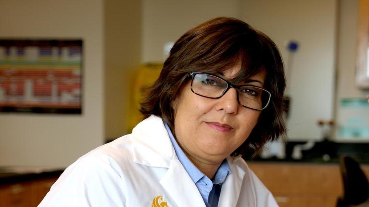La investigadora de University of Central Florida, Annette Khaled puede haber descubierto una forma de matar las células cancerosas al descubrir cómo un péptido específico inhibe la chaperonina.