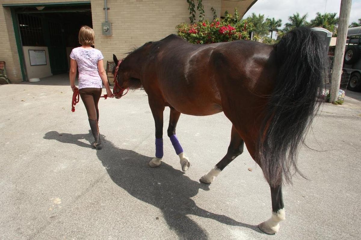 You can be like Lil Nas X -- in Kendall!
