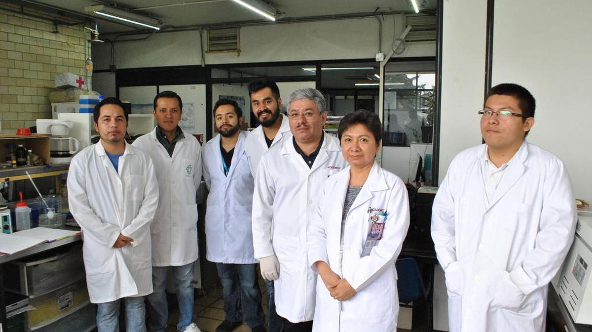 Fotografía cedida el domingo 23 de julio de 2017, por el Instituto Politécnico Nacional (IPN), que muestra al grupo de investigadores del Instituto Politécnico Nacional (IPN) de México quienes encontraron propiedades contra el cáncer en la epicatequina, una molécula presente en el chocolate.