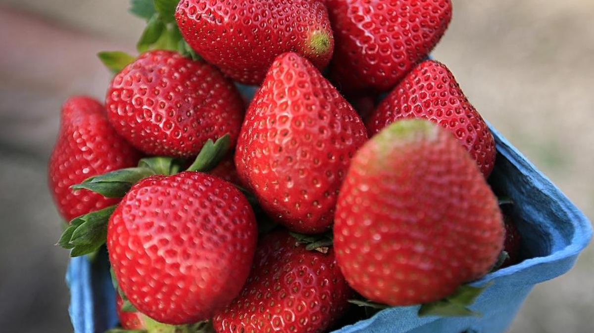 Berries: los arándanos, moras, frambuesas, y fresas están repletas de nutrientes saludables.