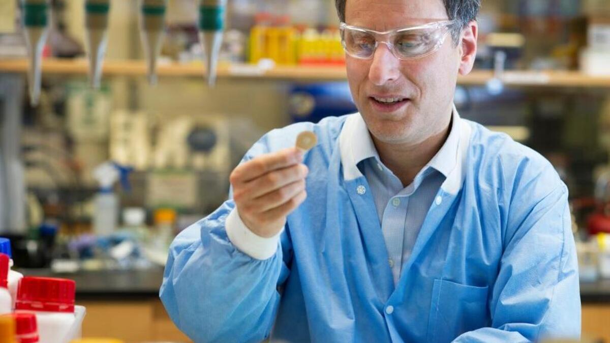 Mark Prausnitz, con una muestra del parche, en el laboratorio donde fue creado.