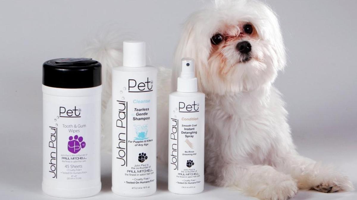 ¿Es que entrenar a mi perrita y tratarla adecuadamente es un ‘drama’?