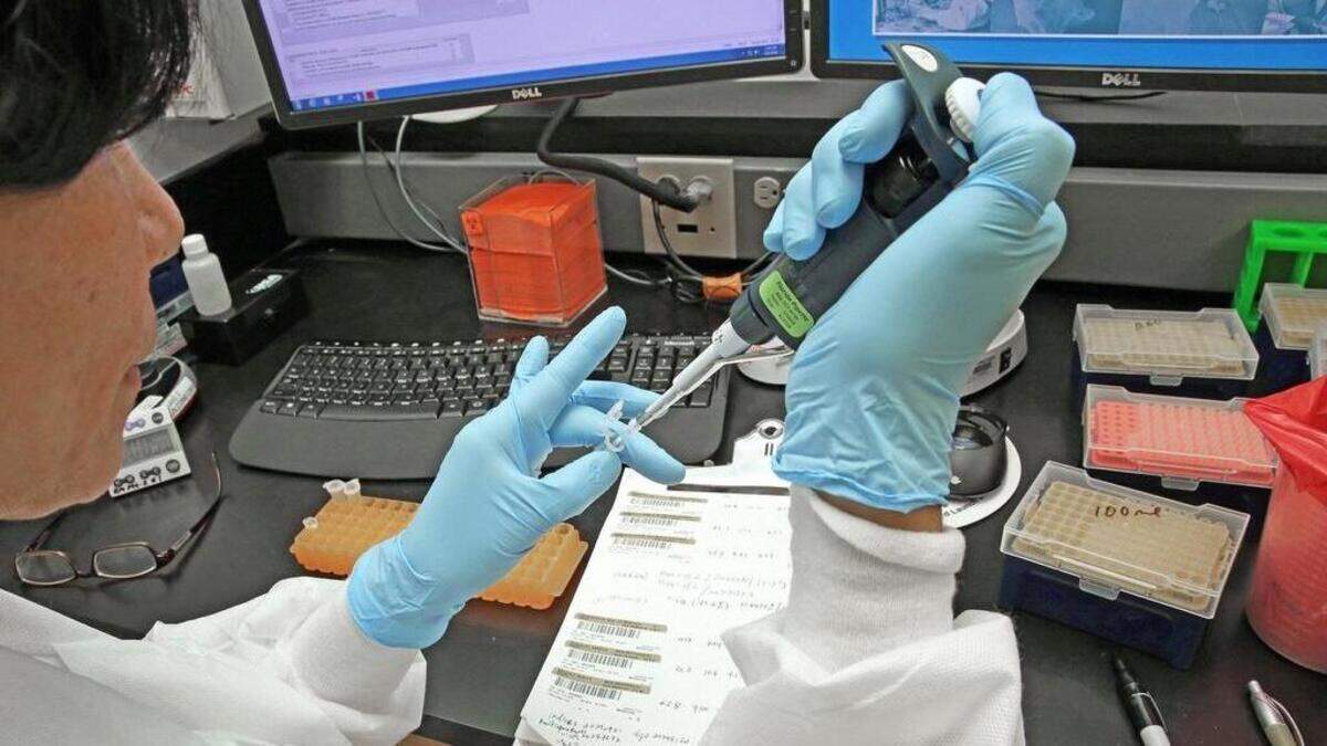 En general, las aseguradoras de cuidado prolongado pueden utilizar los resultados de estudios genéticos al momento de decidir si le ofrecen una cubierta.