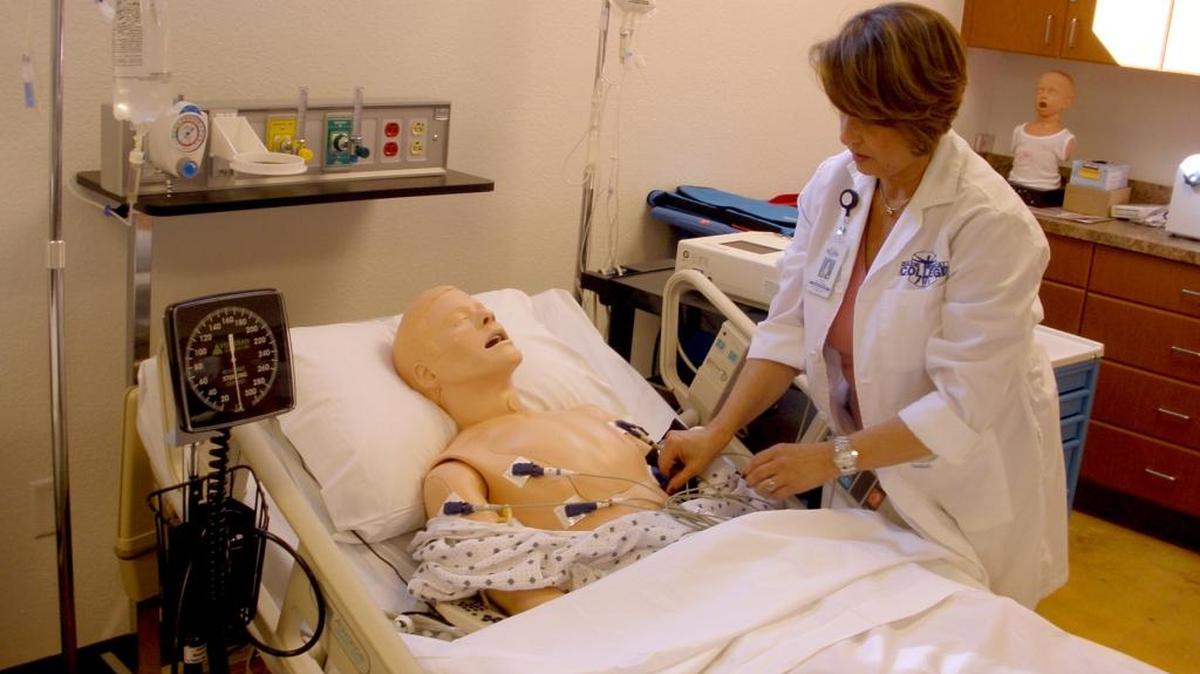 Aquí, en Estados Unidos, estudié flebotomía y técnica EKG, pero no encuentro un trabajo afín.