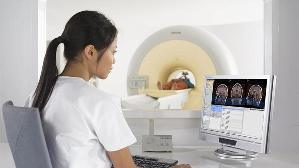 Un estudio subraya que nuestros rasgos sociales se originan en el cerebro.