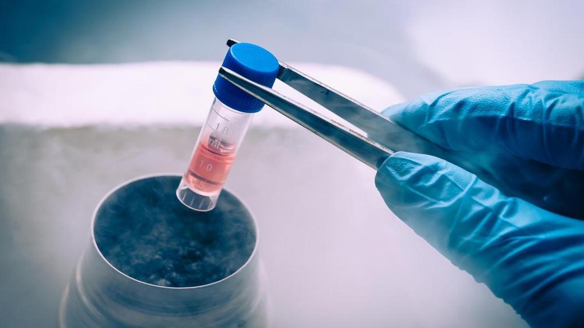 A Liquid Nitrogen bank containing suspension of stem cells. Cell culture for the biomedical diagnostic