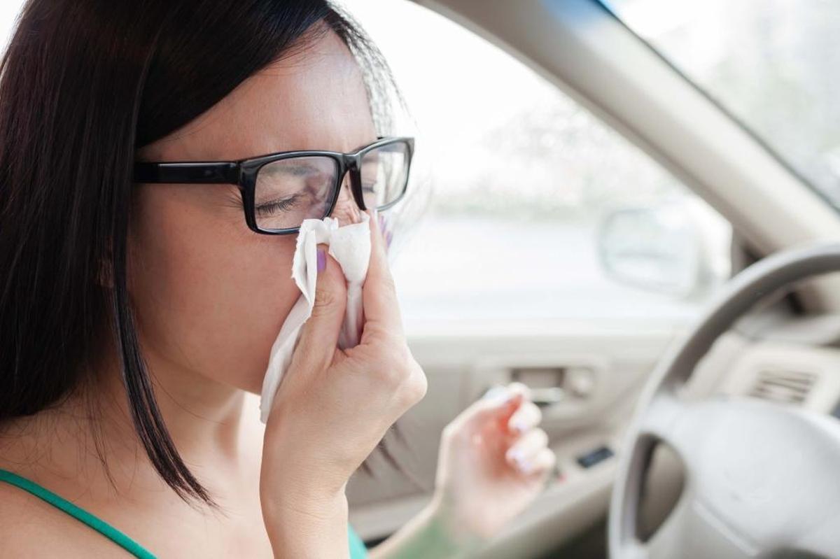 La temporada de gripe en Estados Unidos generalmente comienza en octubre y termina en mayo, alcanzando un máximo entre diciembre y febrero.
