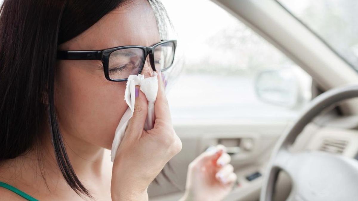 La temporada de gripe en Estados Unidos generalmente comienza en octubre y termina en mayo, alcanzando un máximo entre diciembre y febrero.