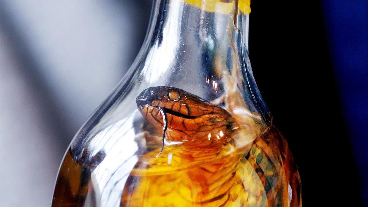Según la Organización Mundial de la Salud, el consumo nocivo de alcohol es una de las principales causas de traumatismos, violencia y muertes prematuras en los jóvenes.