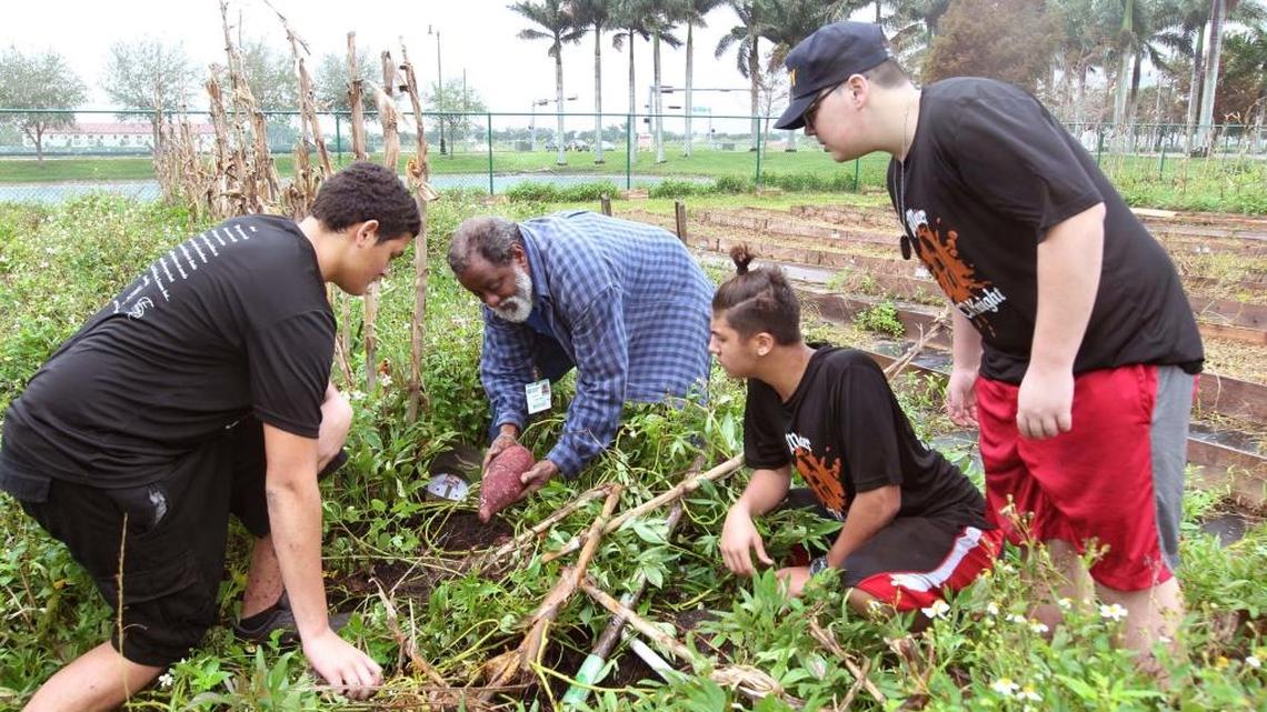 Estudiantes de Mater Charter Middle High School durante una visita al jardín de Homestead Hospital Baptist llamado Grow2Heal. En la foto, de izq. a dcha.: Erik Fuentes, 16, el voluntario Juan Osoria, Jonathen Rivera, 15 y Víctor González 15.