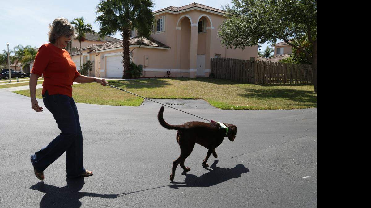 
Aurora Trajkovic, de 66 años, camina a su perro por el vecindario. Trajkovic se fracturó el fémur hace tres meses y fue sometida a un reemplazo de cadera en el at West Kendall Baptist Hospital. Después de un mes de terapia y el uso de un ‘walker’, se siente totalmente recuperada.



