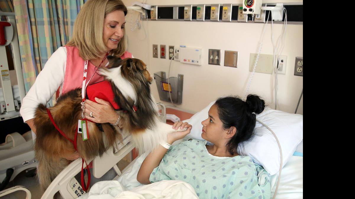 
Linda Tartak y su perro Honey Bear visitan a Breanna Cano, quien está recuperándose de una cirugía en el Nicklaus Children's Hospital.
