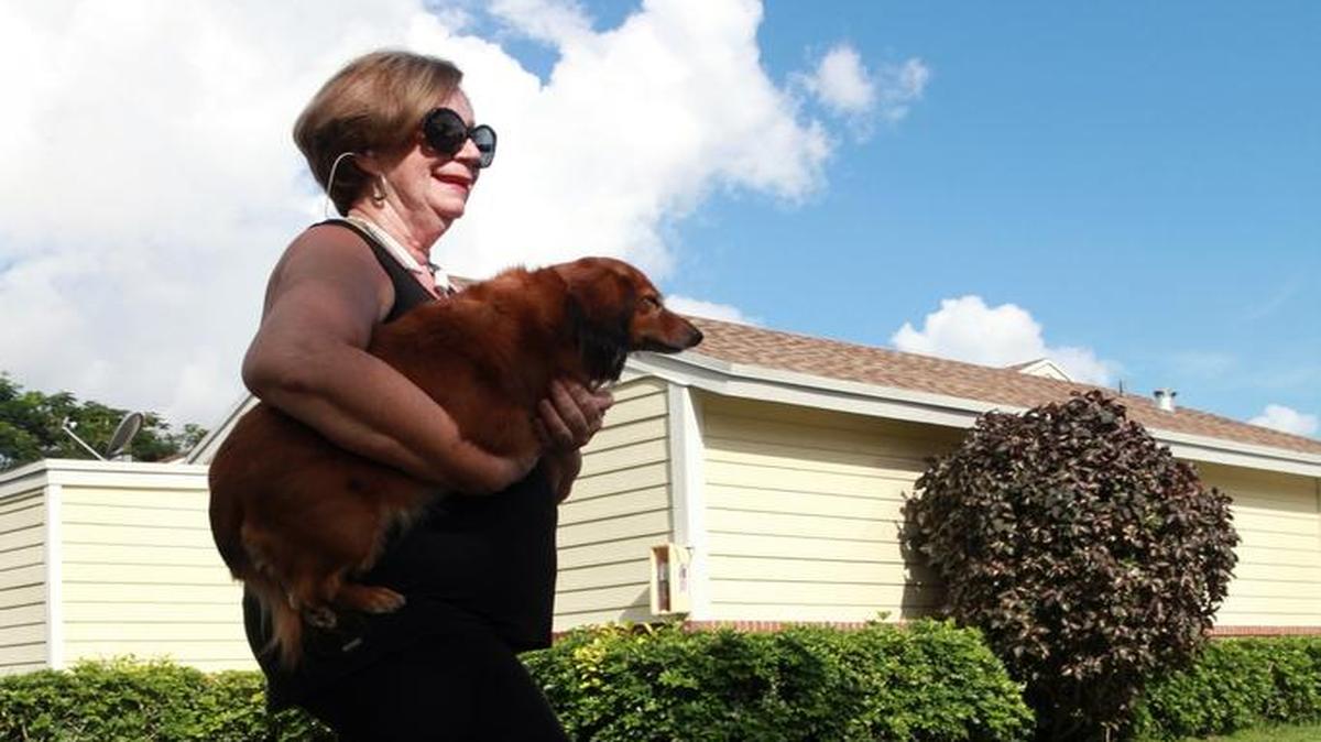 Yvonne Meyers, paciente de cáncer de seno hace ejercicios caminando con sus perros.