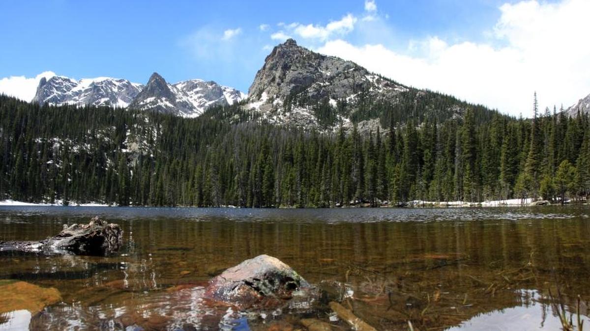 
Uno de los caminos más espectaculares para hacer senderismo es el que rodea al Fern Lake, de agua cristalina y muy fría.
