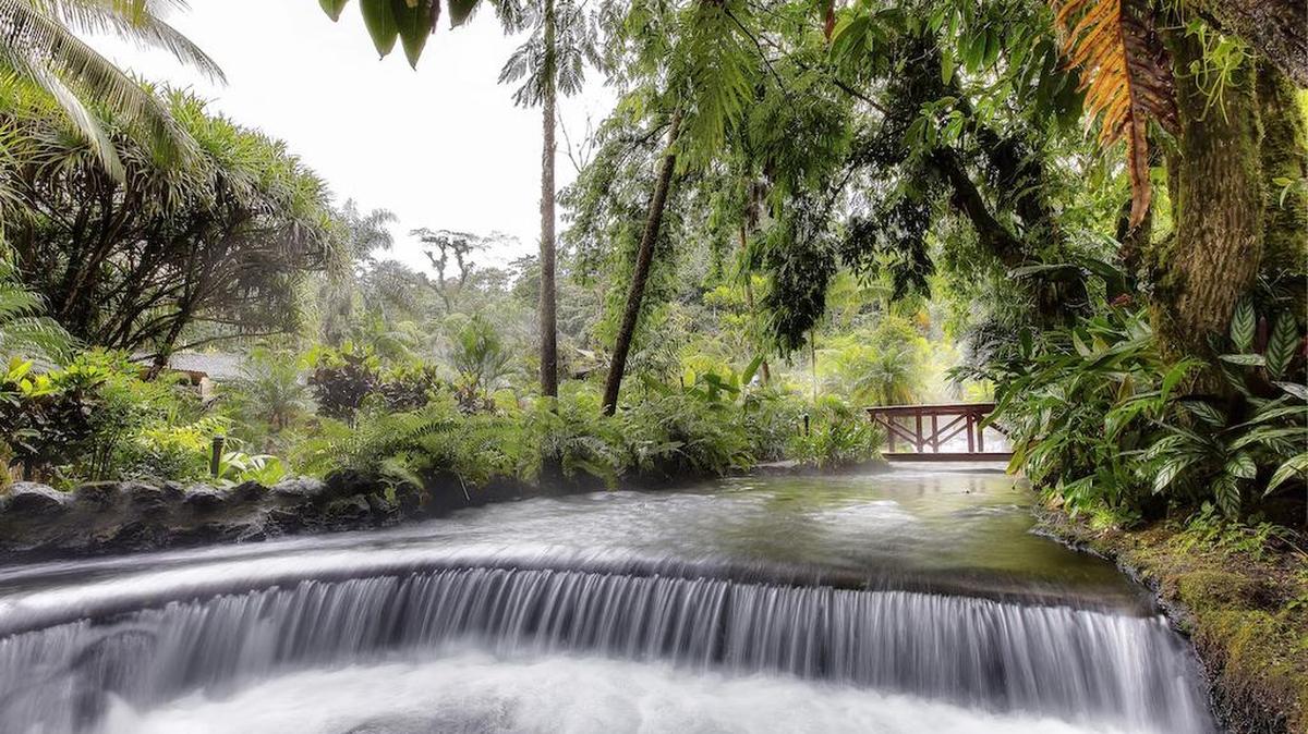 Manantiales termales que se encuentra en el Parque Nacional Volcán Arenal, en Tabacon Thermal Resort & Spa.
