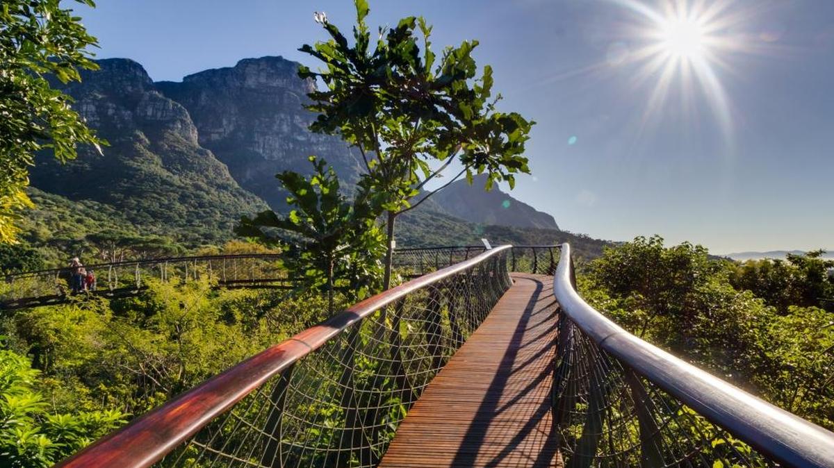 Imagen del puente entre montañas, sobre los árboles y con el sol luciendo al fondo.