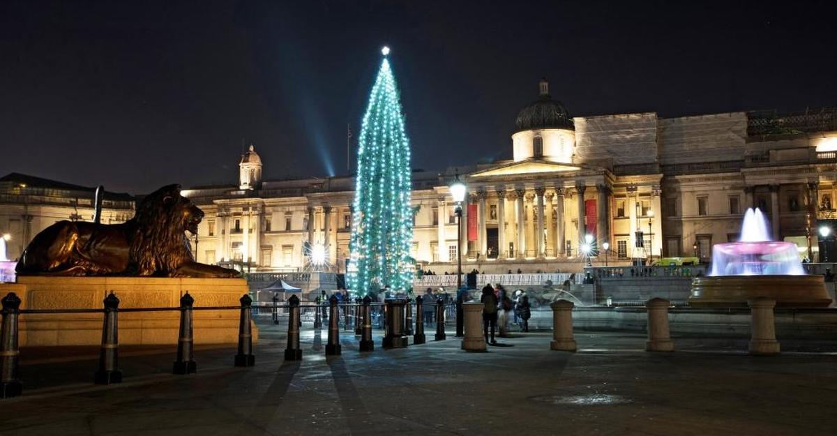 Arbol de Navidad de 20 metros de alto tras su iluminación en la Plaza Trafalgar de Londres (Reino Unido).
