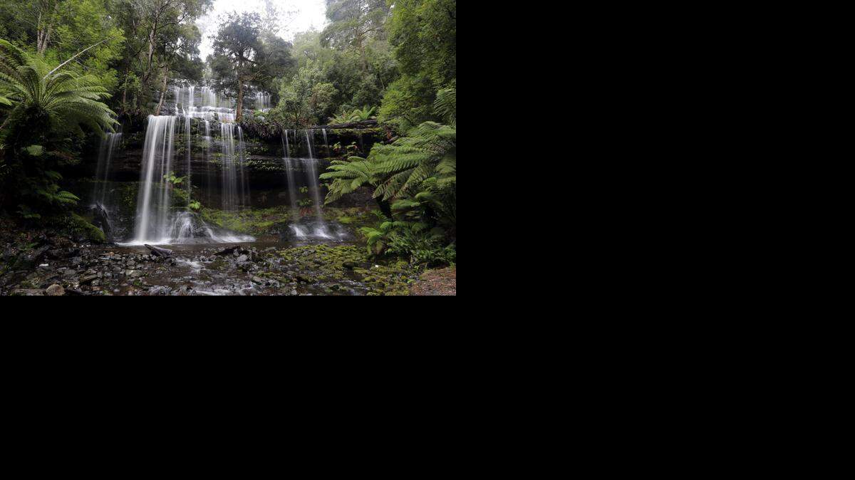 
La catarata Russell Falls, en el parque nacional de Mt. Field en Tasmania, Australia, tal y como luce hoy en día. 
