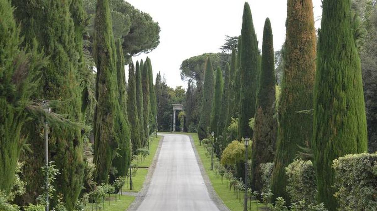Uno de los principales caminos que recorren los jardines de las Villas Pontificias de Castel Gandolfo.