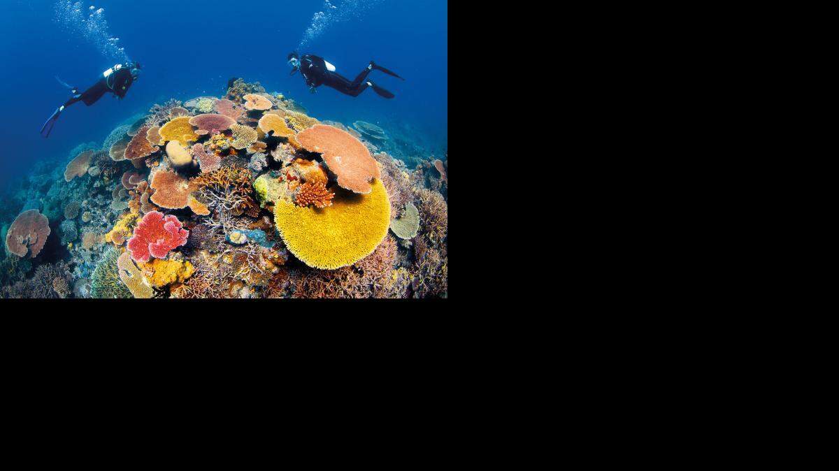 
La zona denominada Acrópolis, puede verse dentro del Mar de Coral. 

