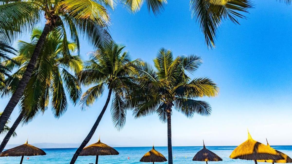 Con cerca de 10,000 turistas que visitan en un mes, el nuevo hotel de marca internacional de Haití está recibiendo elogios positivos de parte de los clientes.