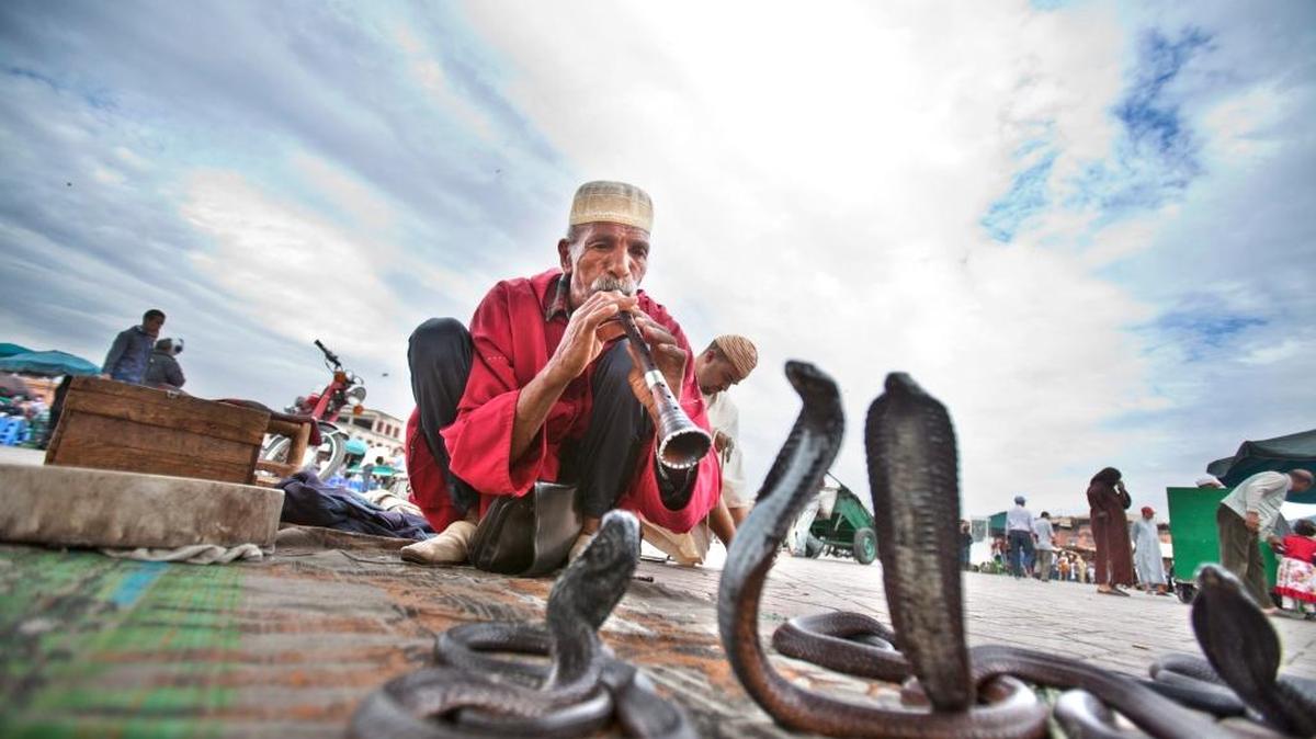 En Marrakech dicen que su famosa plaza nunca duerme, ni de noche ni de día, donde se puede presenciar espectáculos como el de los encantadores de serpientes.