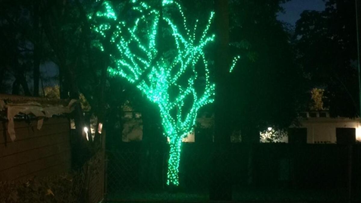 Las luces serán unicolores porque solo foquitos verdes o rojos los iluminarán oficialmente el día que el parque abra.