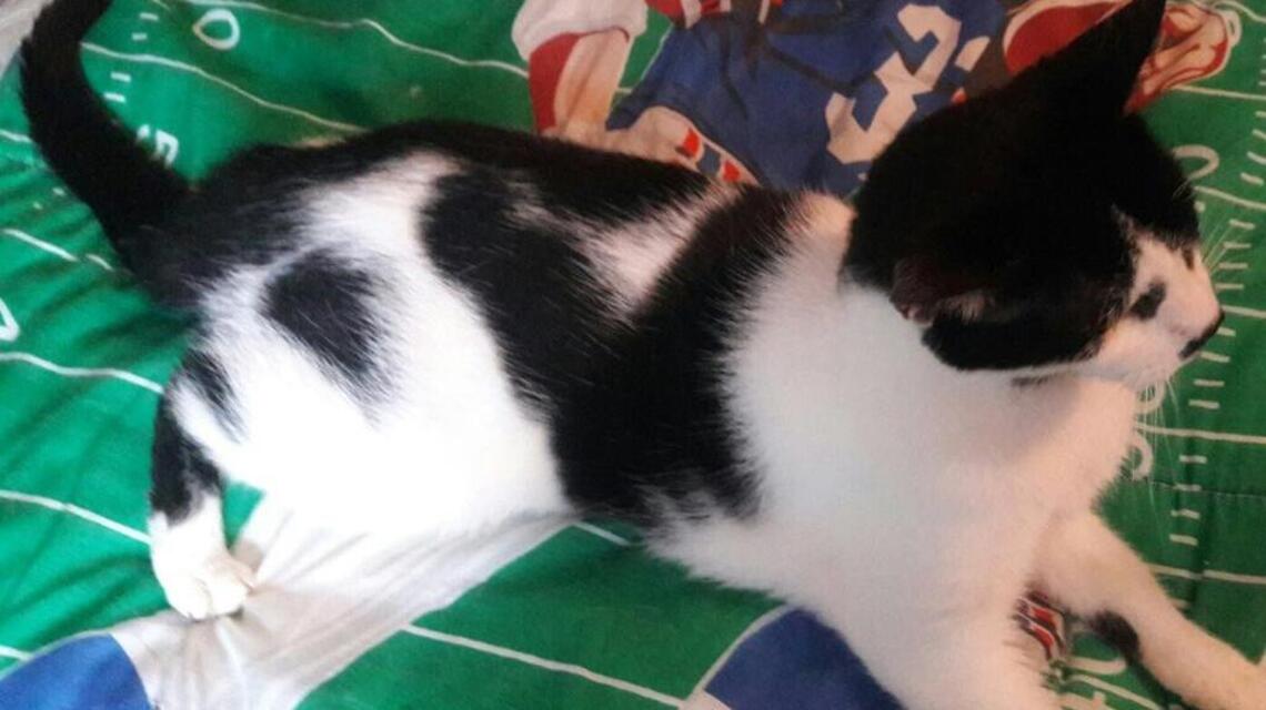 ¿Por qué ‘Kiry’ se ha quedado sin su hogar?