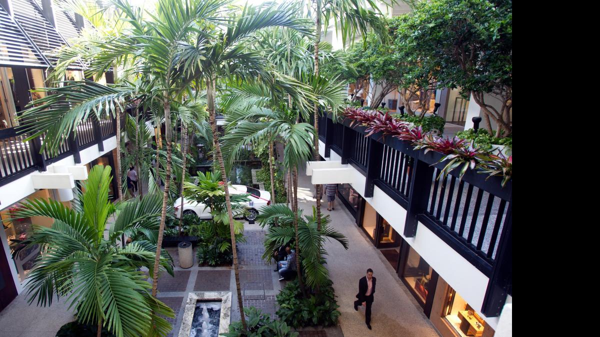 
‘Caminaba con una amiga por el espectacular centro comercial de Bal Harbour viendo las tiendas’.
