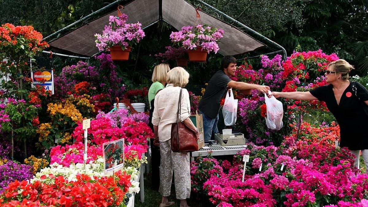 El ‘Ramble’ del Fairchild Tropical Botanic Garden será desde el 11 al 13. Este festival incluye venta de plantas y todo lo necesario para el jardín.